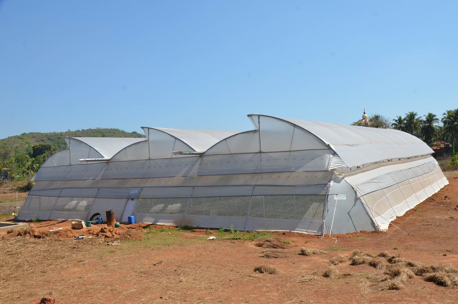 Greenhouse Project 19